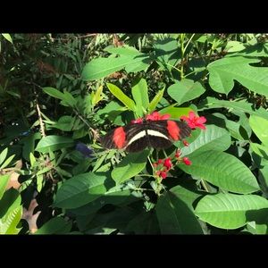 Meet your Posher, Jade